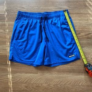 Mens Hollister shorts / swim trunks